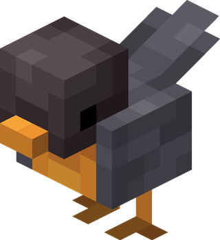 Bird | Starfish Studios