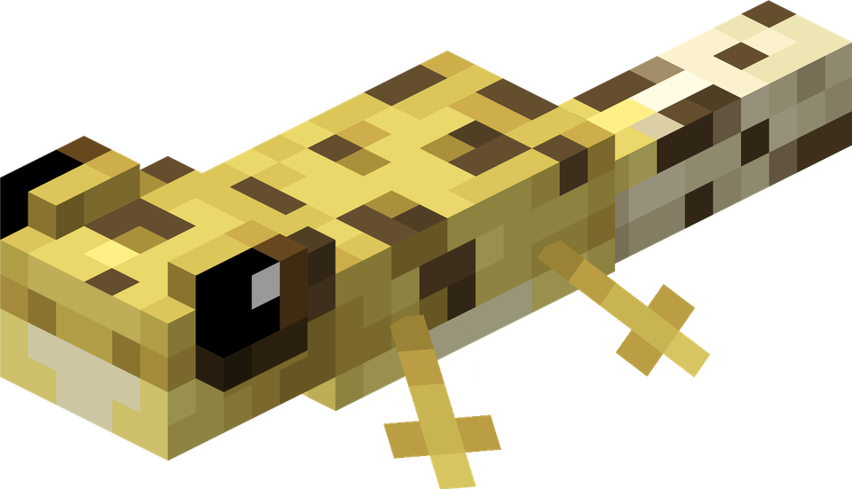 Lizard | Starfish Studios