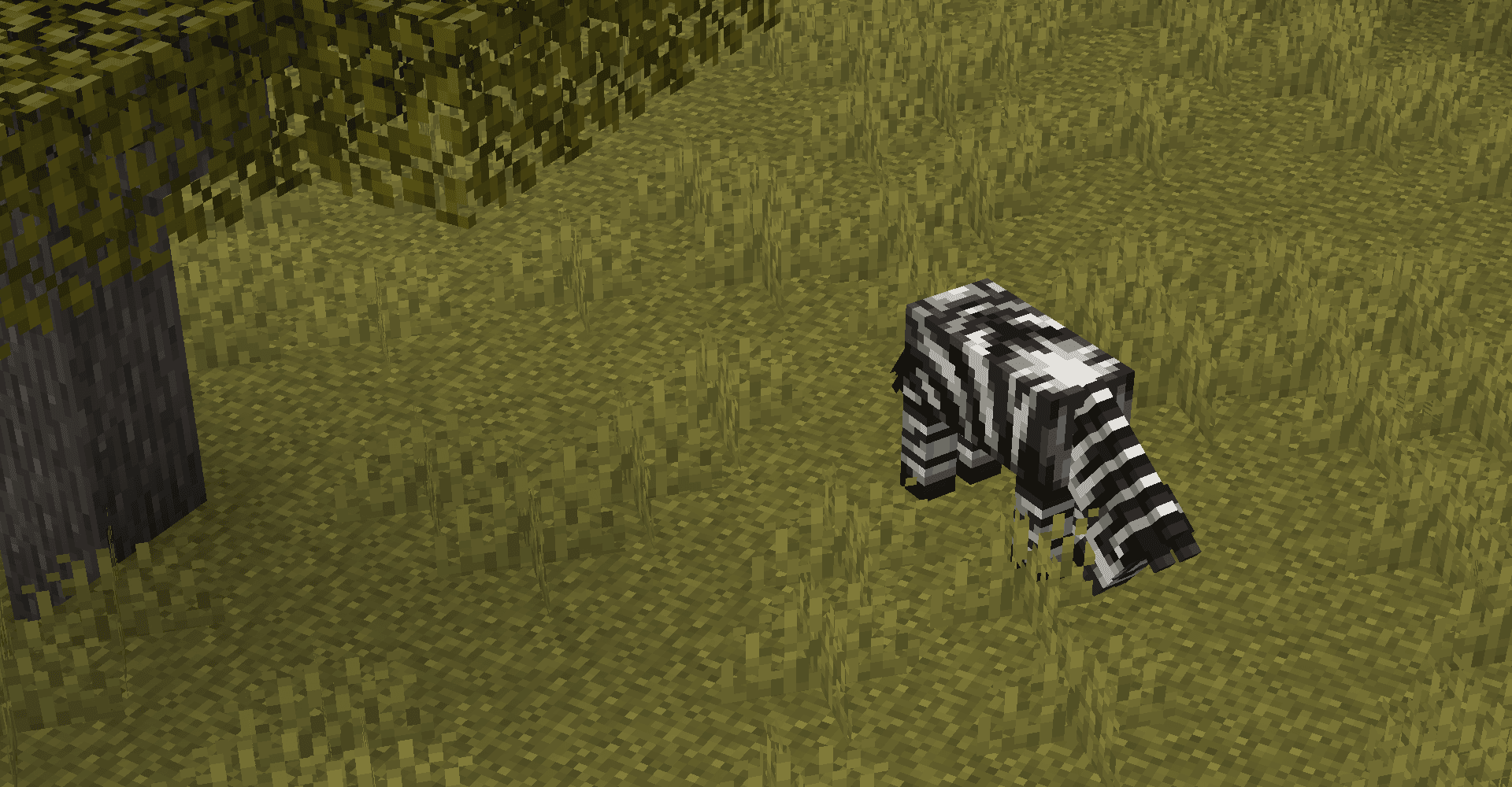 Zebra grazes, wary of predators. In the minecraft naturalist mod by starfish studios.